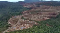 Skandal Tambang Nikel Raja Ampat: PKB Tuntut Investigasi Mendalam