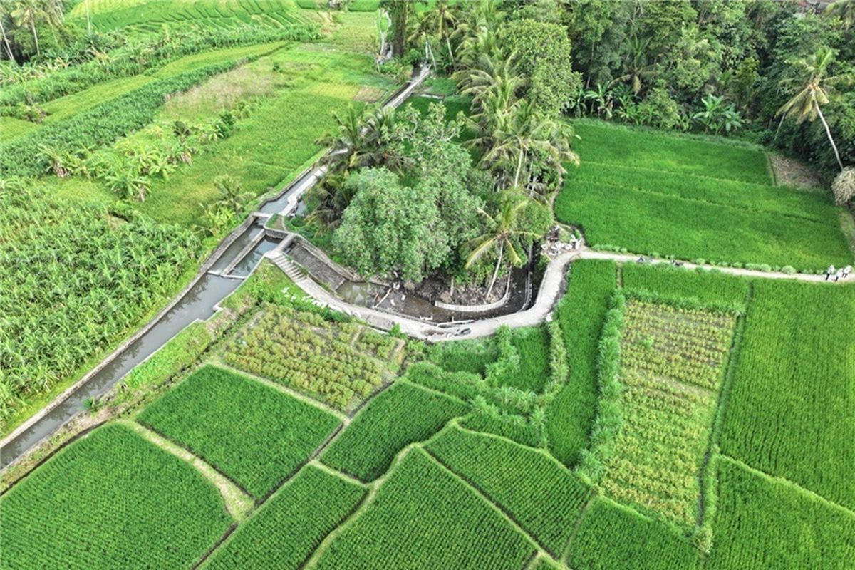 Swasembada Pangan: Air Berkelanjutan, Kunci Menuju Indonesia Maju