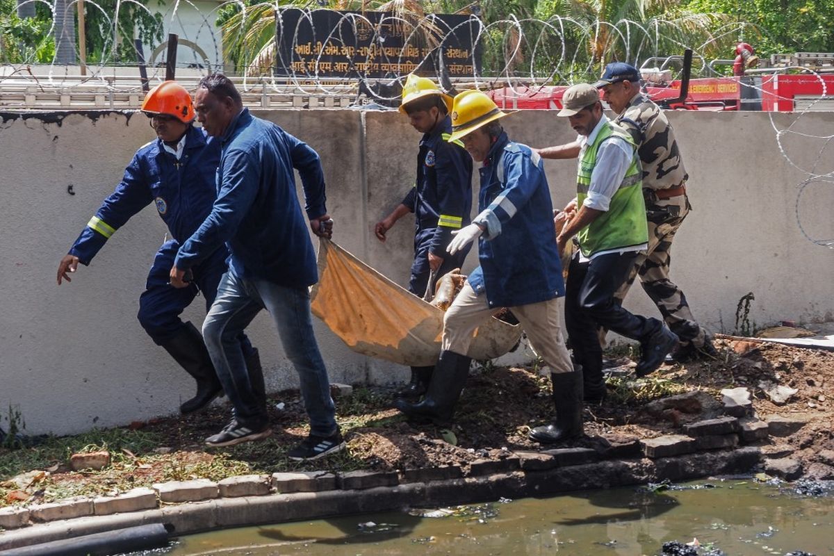 Tragedi Air India: 242 Jiwa Hilang Tanpa Jejak