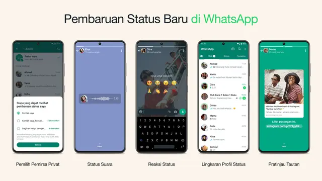 WhatsApp Terbaru: Kontrol Penuh Status, Privasi Lebih Terjaga